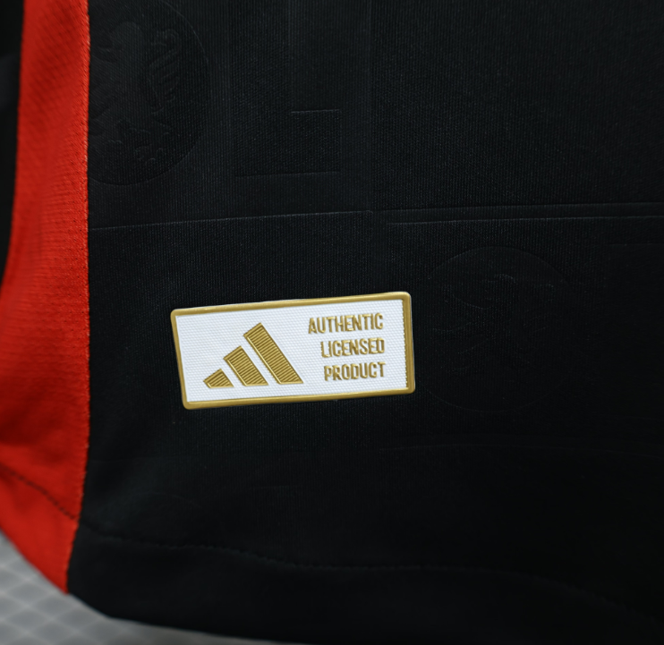 24/25 Player Lyon Away