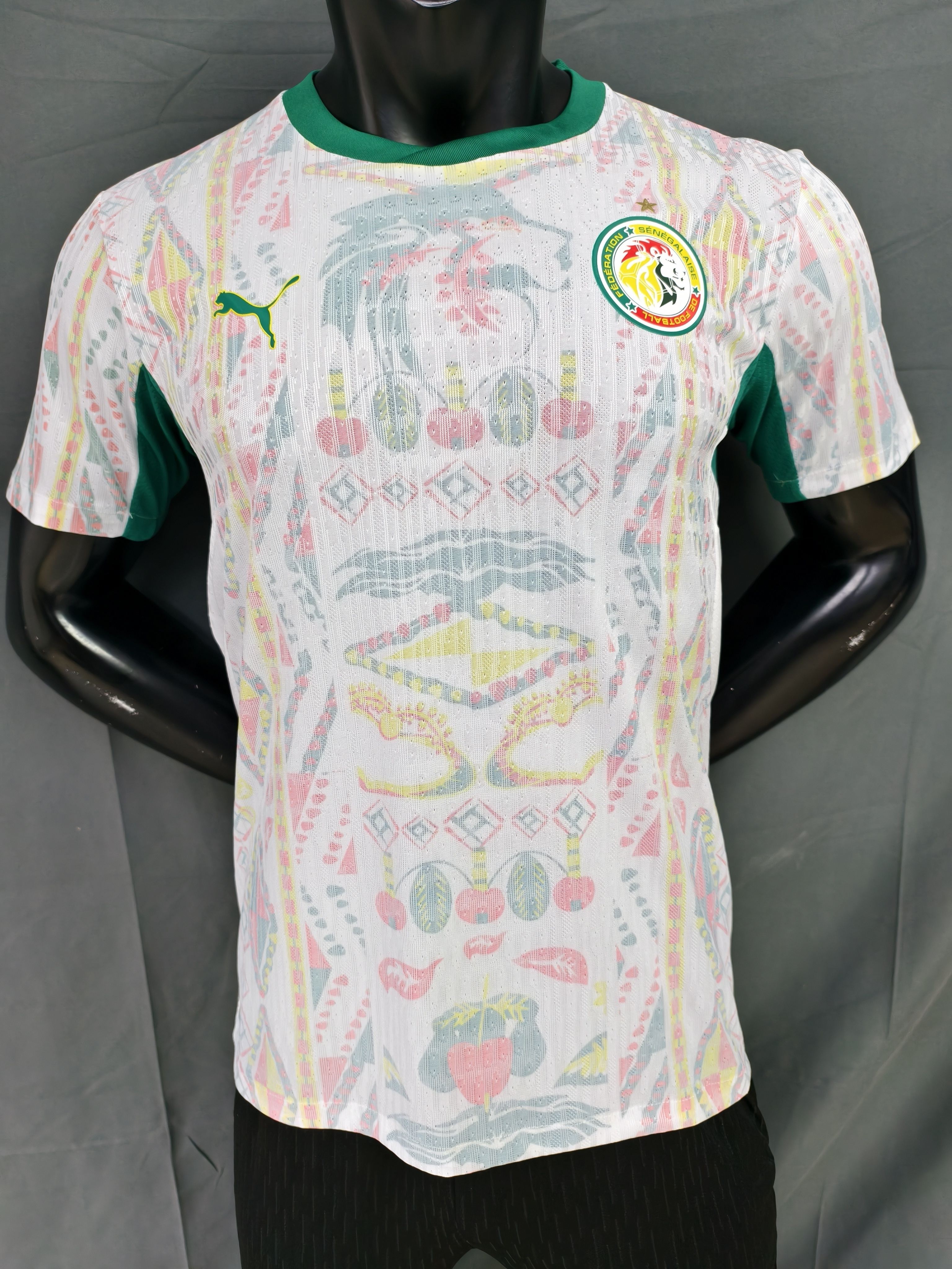 26/27 Player Senegal