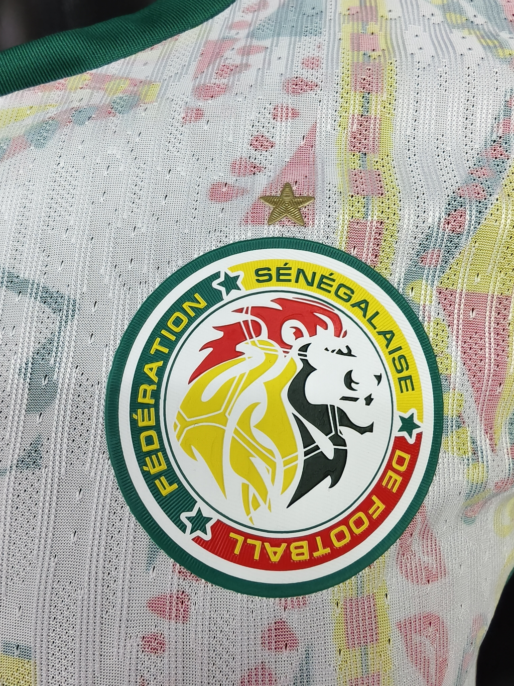 26/27 Player Senegal