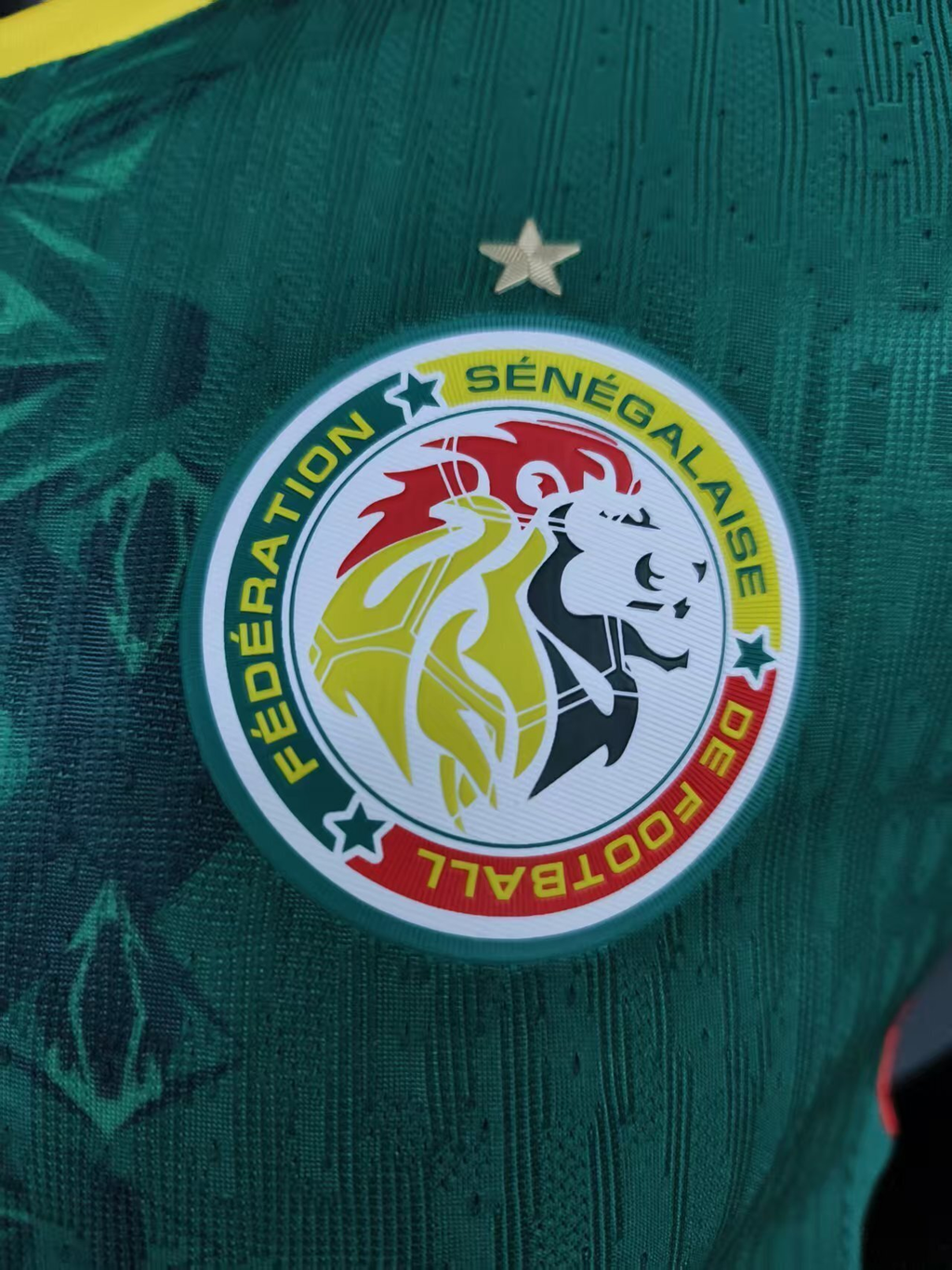 26/27 Player Senegal