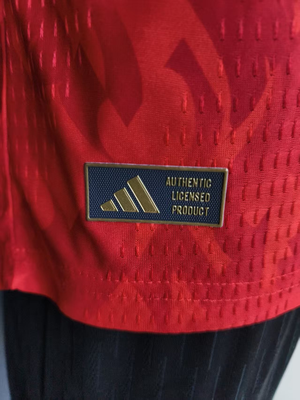 26/27 Player Belgium