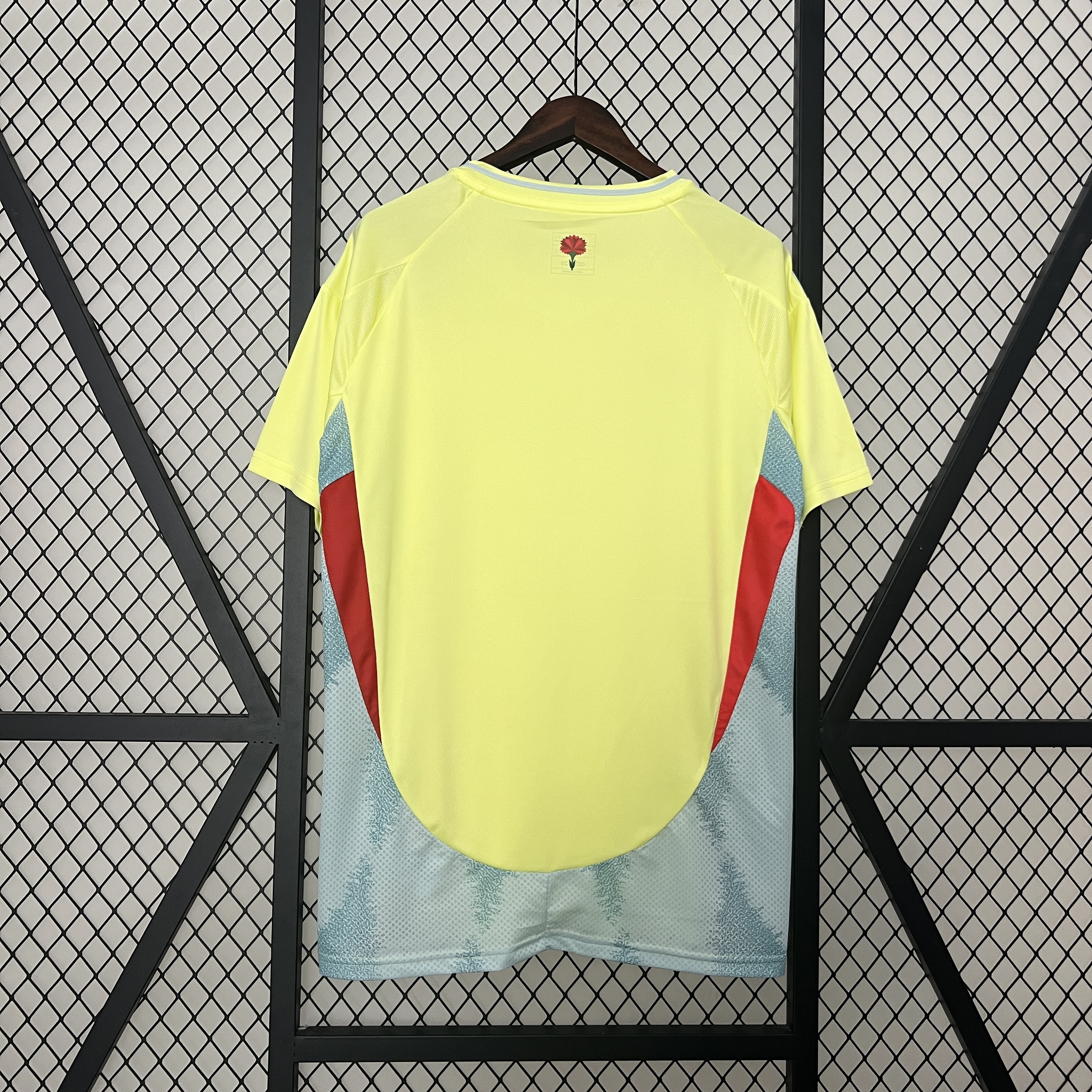 24/25 spain away fan