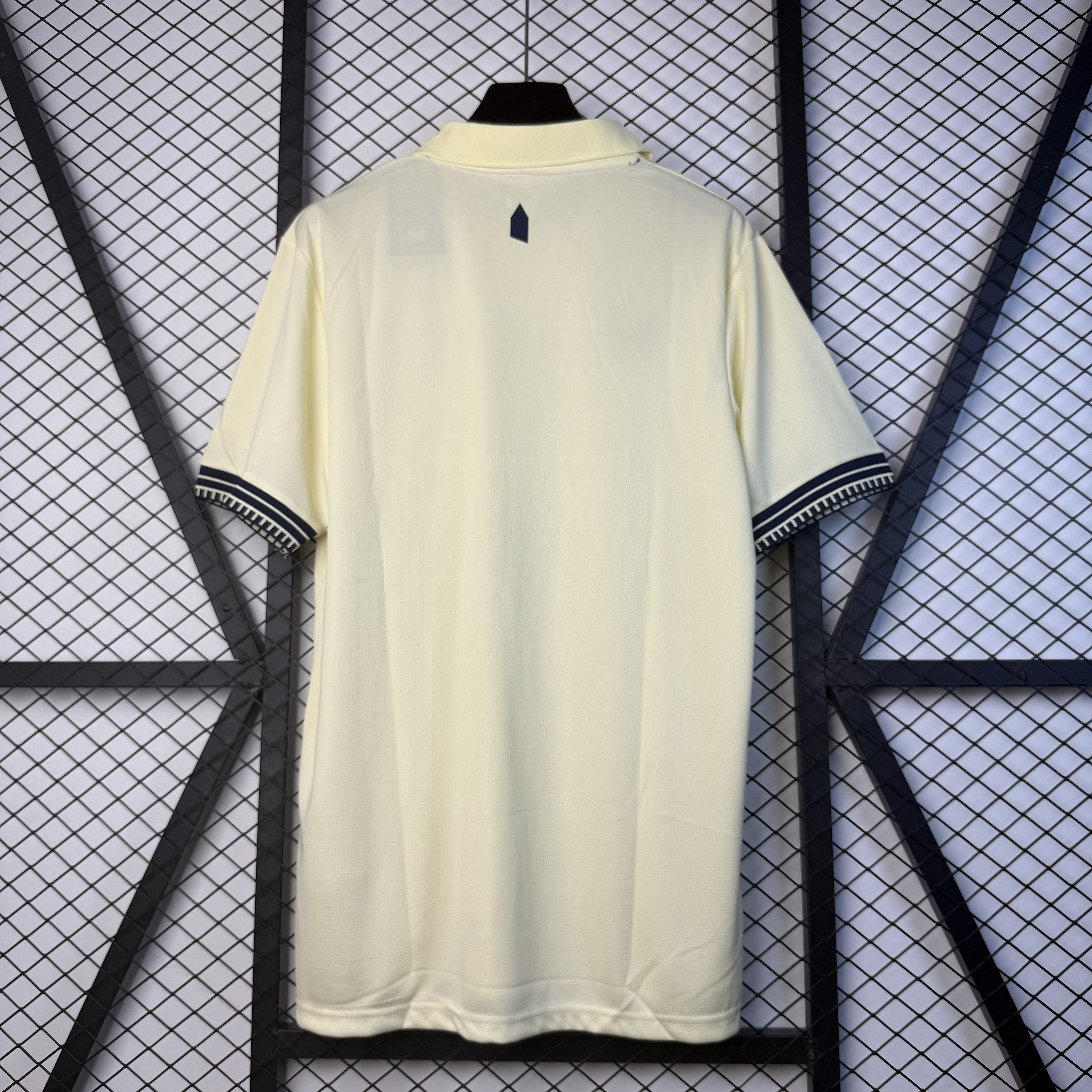 25/26 Everton away Fan