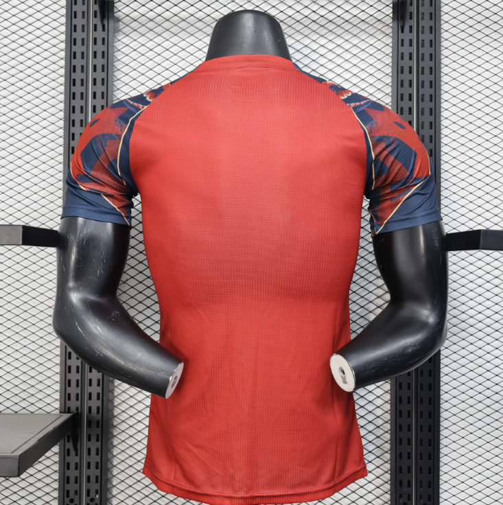 25/26 Player Version Special Edition Manchester United